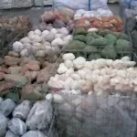 Doğal Taş ve Ağaç Kabukları