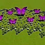 Kavşak, Yamaç ve Orta Refüj