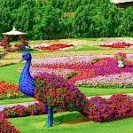 Kavşak, Yamaç ve Orta Refüj