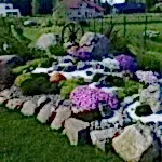 Kurak Peyzaj Kaya Bahçesi