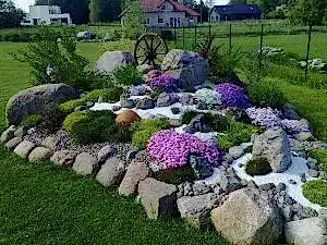 Kurak Peyzaj Kaya Bahçesi