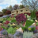 Kurak Peyzaj Kaya Bahçesi