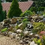 Kurak Peyzaj Kaya Bahçesi