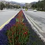 Mevsimlik Çiçek Dikimi