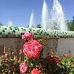 Mevsimlik Çiçek Dikimi