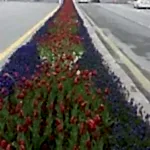 Orta Refüj Kavşak Çalışması