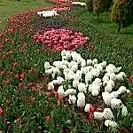 Orta Refüj Kavşak Çalışması