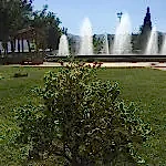 Park ve Yeşil Alan Bakımı