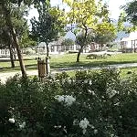 Park ve Yeşil Alan Bakımı