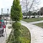 Park ve Yeşil Alan Bakımı