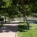 Park ve Yeşil Alan Bakımı