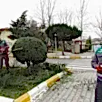 Park ve Yeşil Alan Bakımı