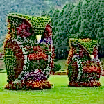 Saksı ve Sepet Çeşitleri