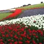 Yamaç Çalışması