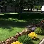 Villa Bahçe Düzenlemesi