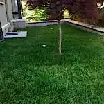 Villa Bahçe Düzenlemesi