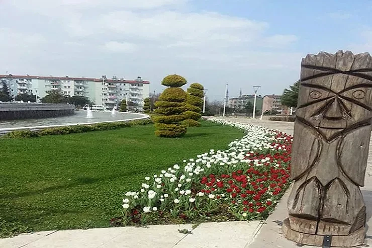 Kışlık mevsimlik çiçekler Peyzajda mevsimlik Çiçekler