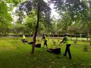 Ankara Peyzaj Firması,Ankara Peyzaj işleri,Ankara peyzaj mimarı,Ankara Peyzaj Telefon,Ankara’da Peyzaj,bahçe bakımı Ankara,bahçe dekorasyon,Bahçe Düzenleme,bahçe peyzaj ankara,bahçe süsleme, çim, çim biçme,fidanlık,İlaçlama,otomatik sulama,peyzaj,Peyzaj Ankara,peyzaj çevre düzenleme,peyzaj Firmaları Ankara,Peyzaj Firması,Peyzaj Firması Ankara,Peyzaj Fiyatları Ankara